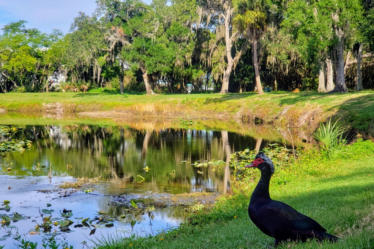 Hole 16