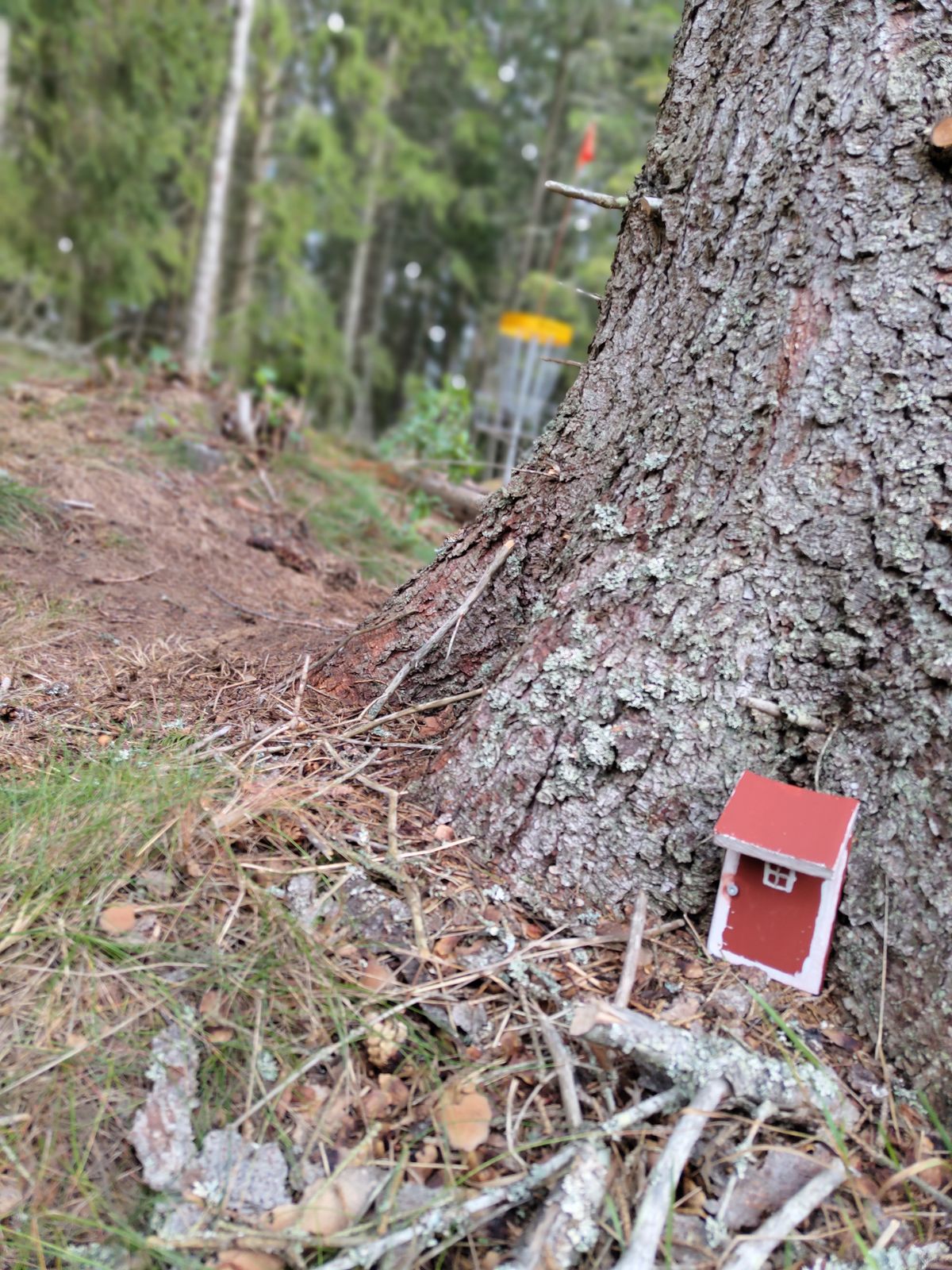 En mysigt krypin på en hemligt hål.