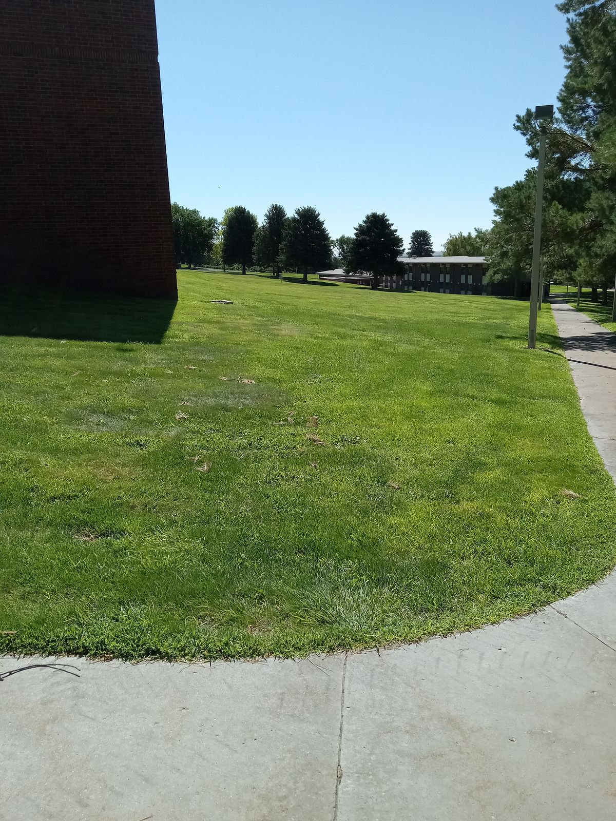 Neo Layout hole 8. Tee off from concrete to basket #8(white number on basket.)