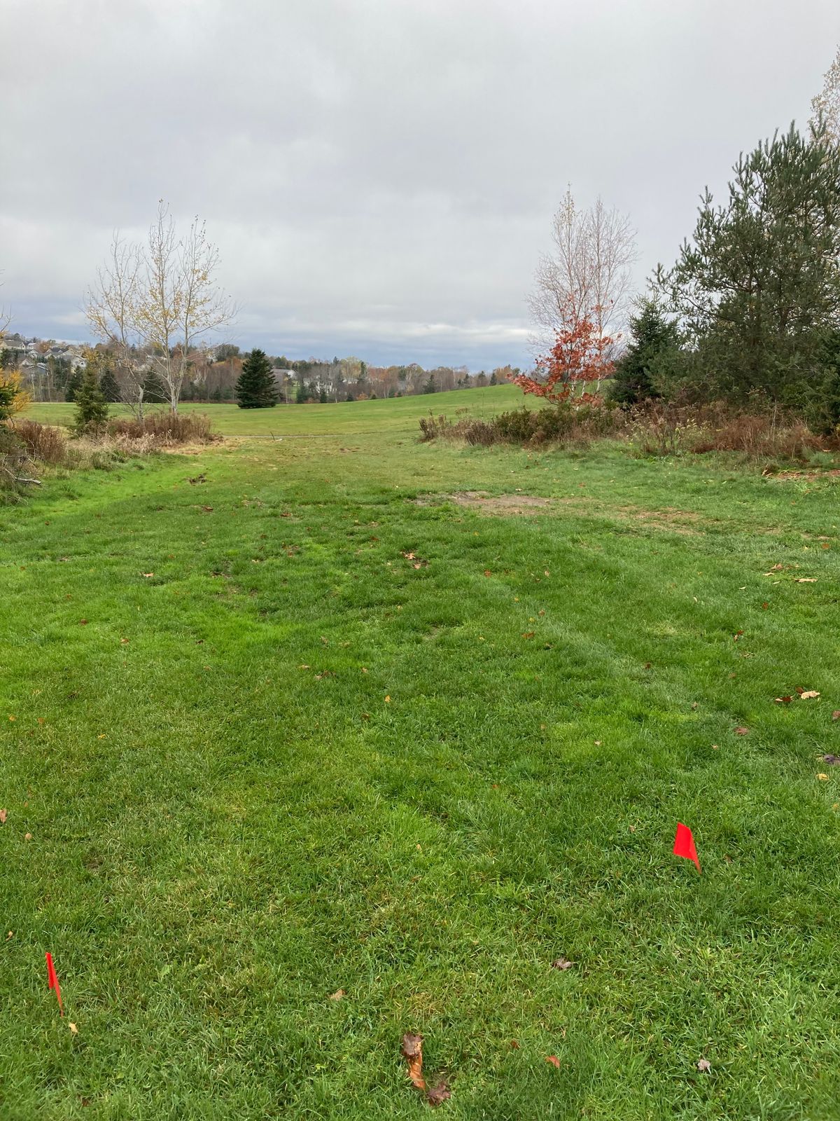 Hole 11 Red tee.  Dogleg right, uphill.