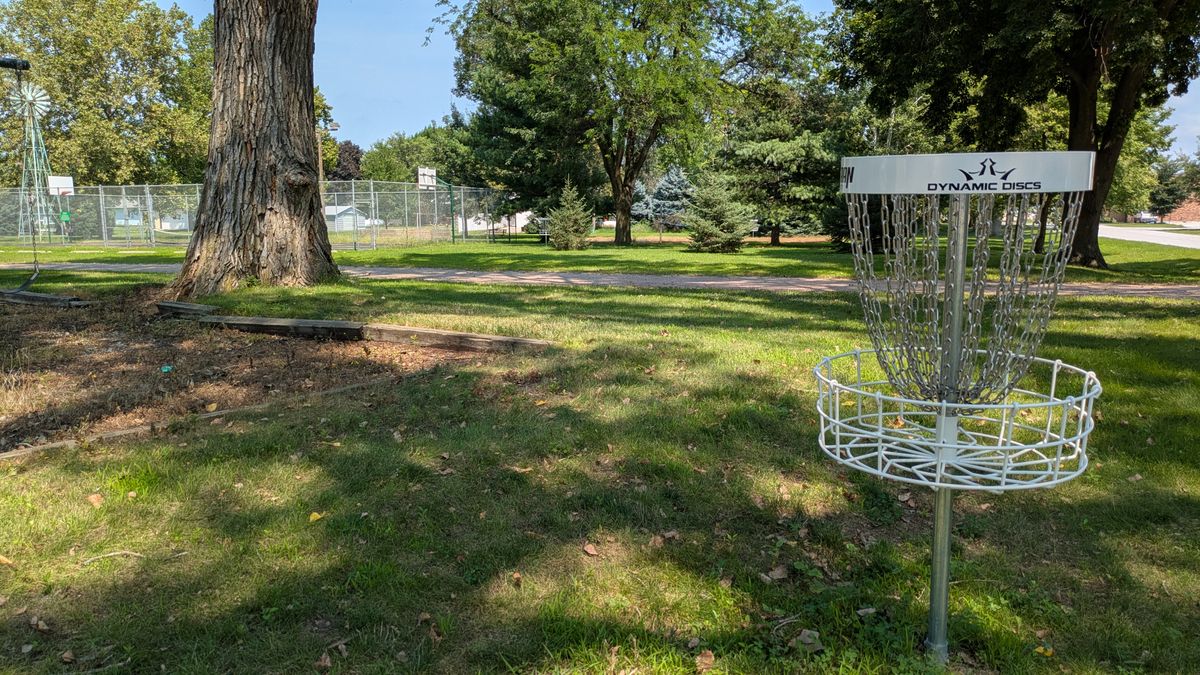 Tee #3 (Basket 2)