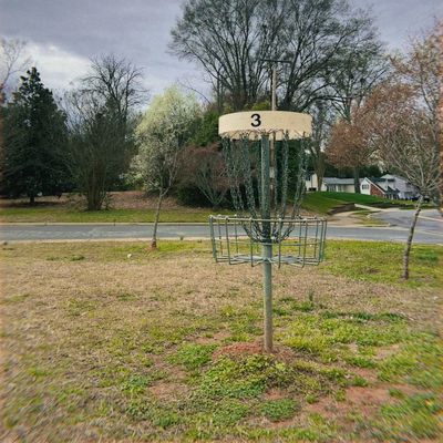 Hole 3 basket