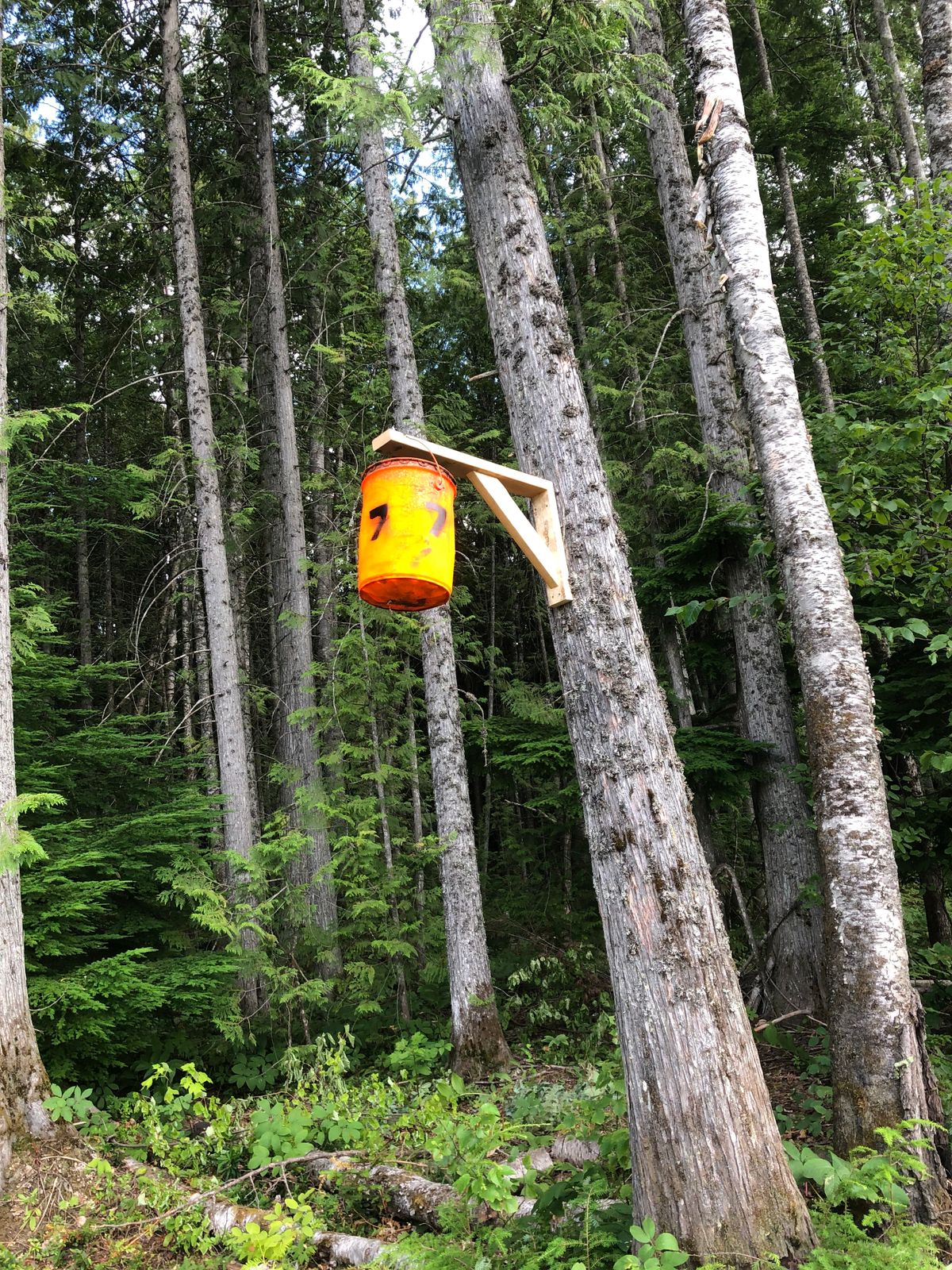 Hole 7 object