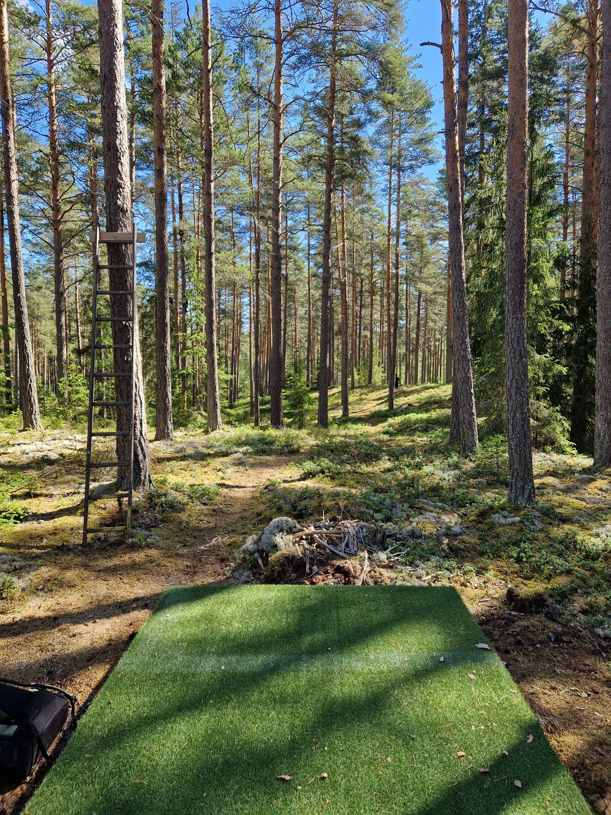 Hål 8