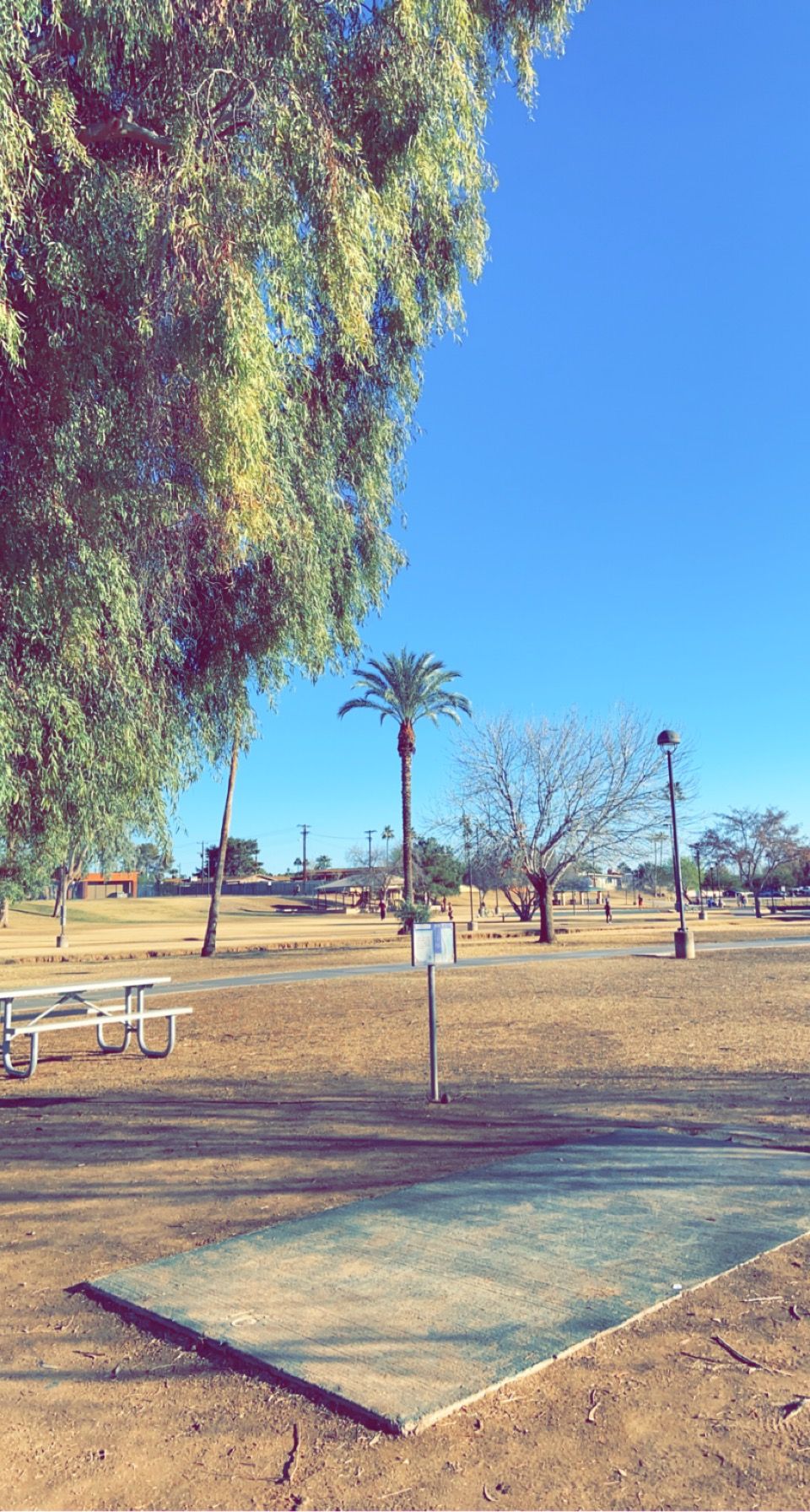 16 tee box