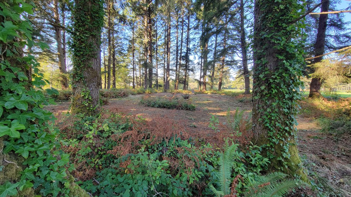 Fairway of #10