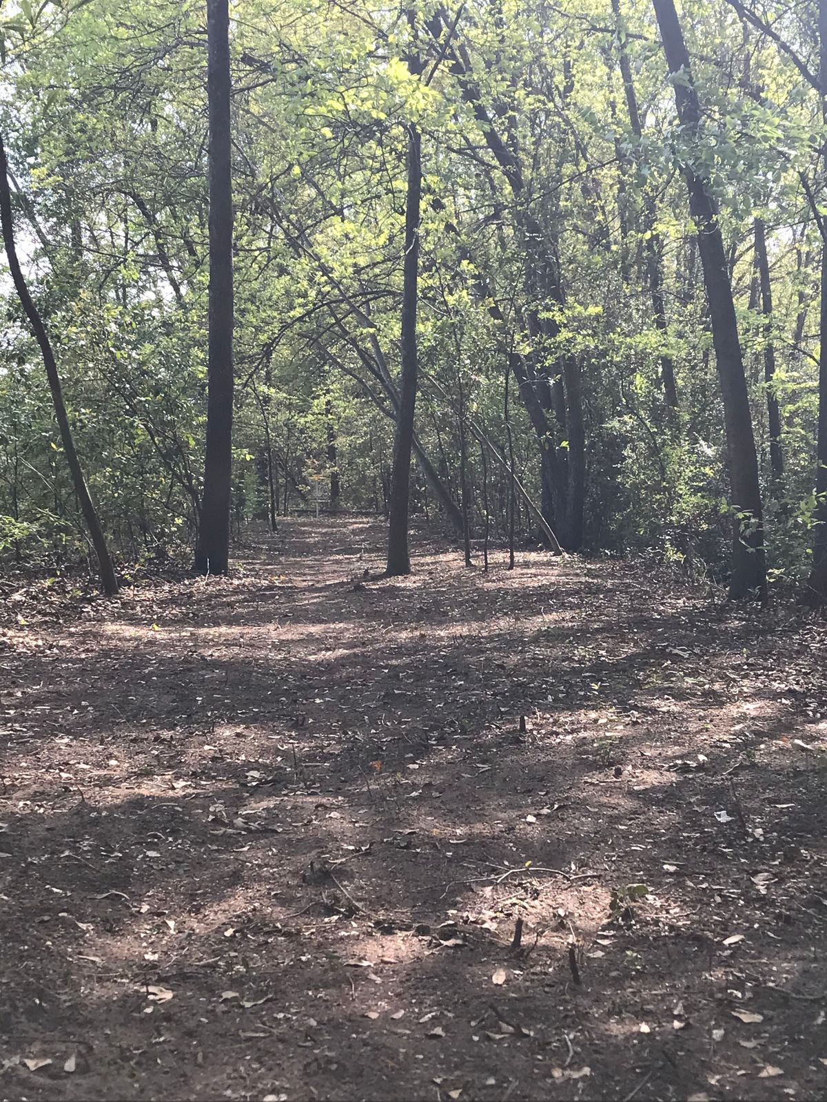 Hole 20