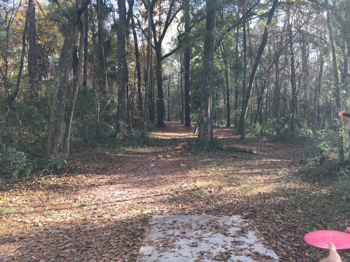 Hole 10