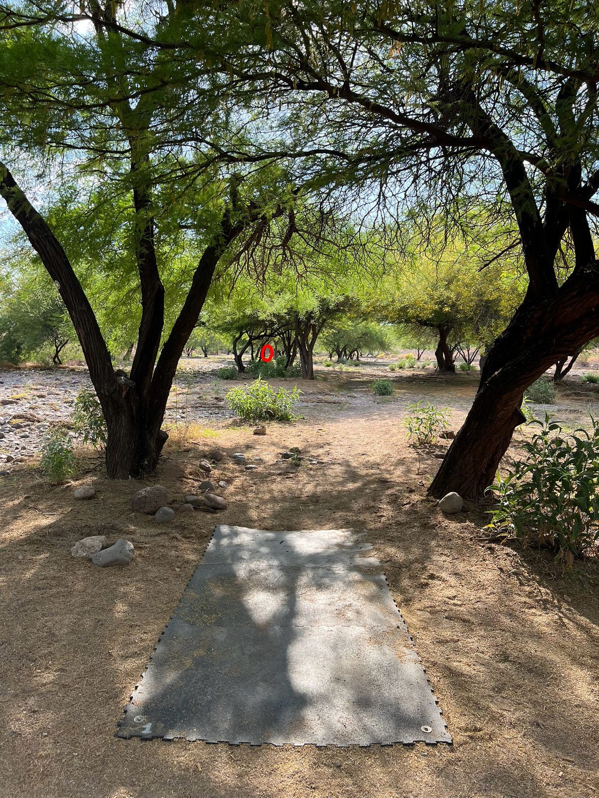 Hole 17 - Tight FH or BH Gap Hit Needed