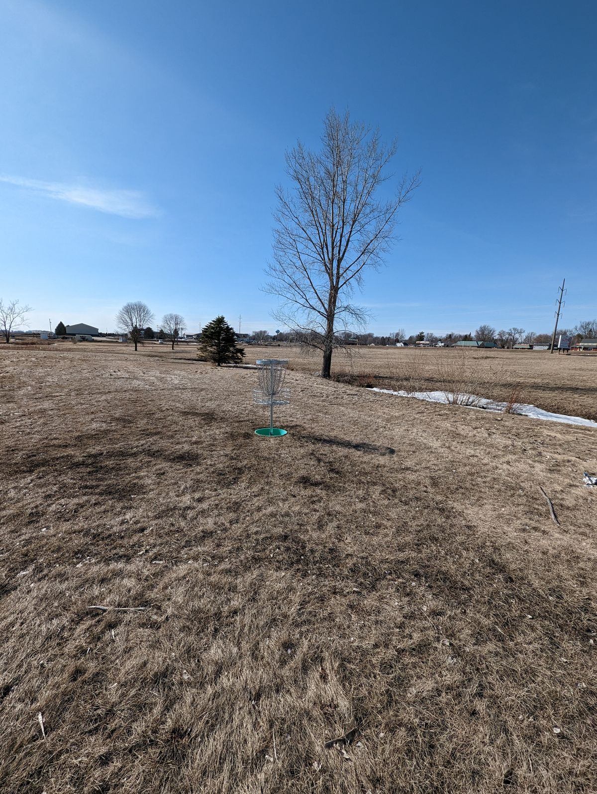 Hole 7 Basket