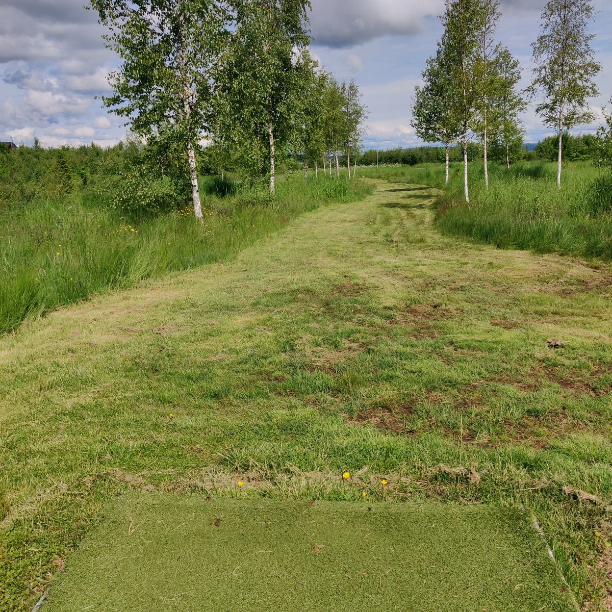 Tee 3