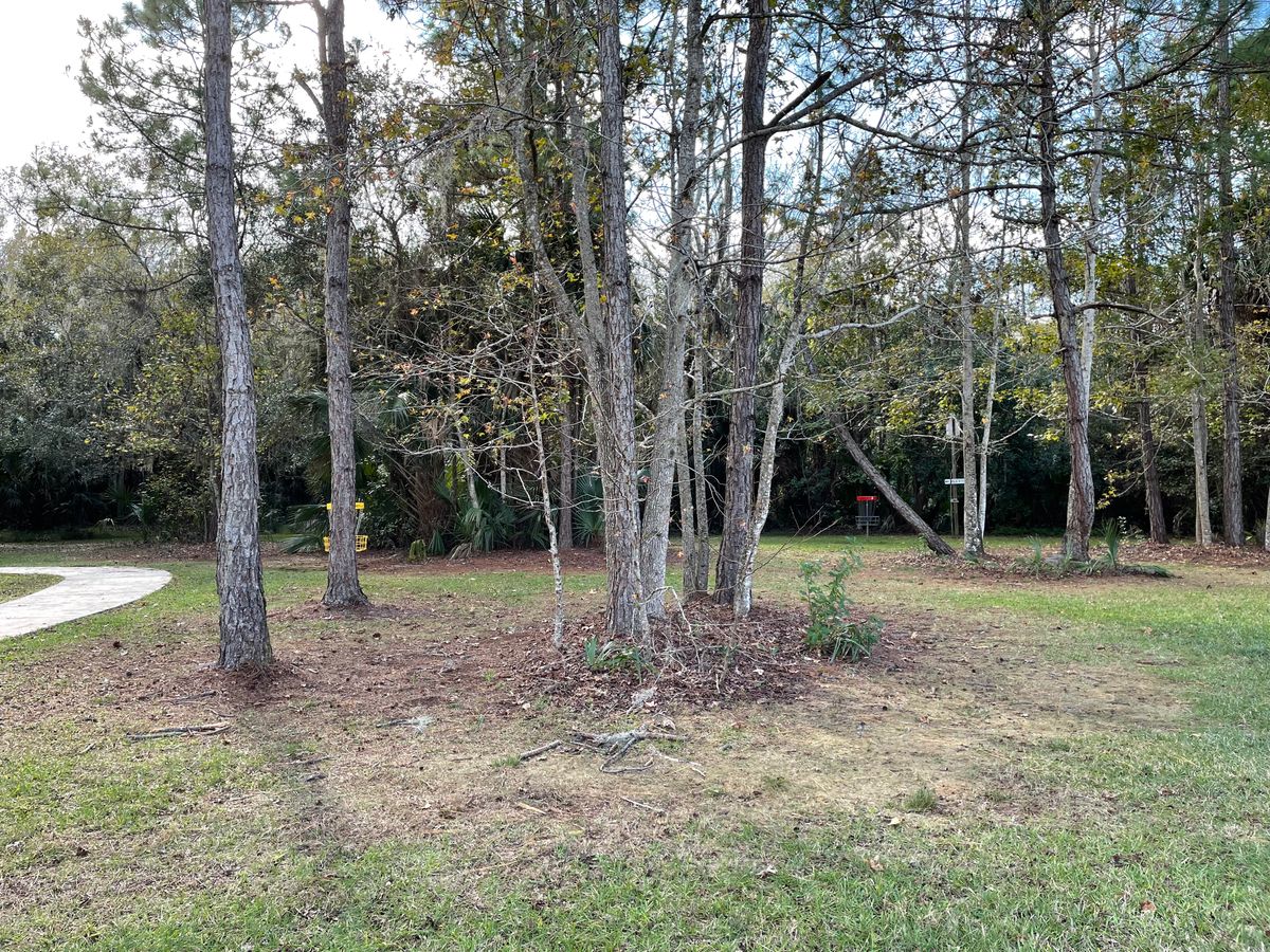 Hole 4 green