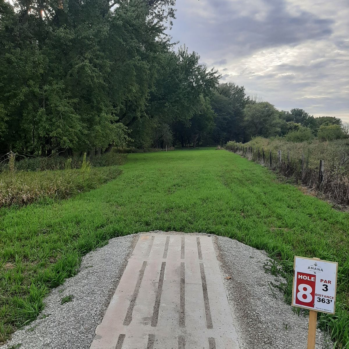 Hole 8 Pad