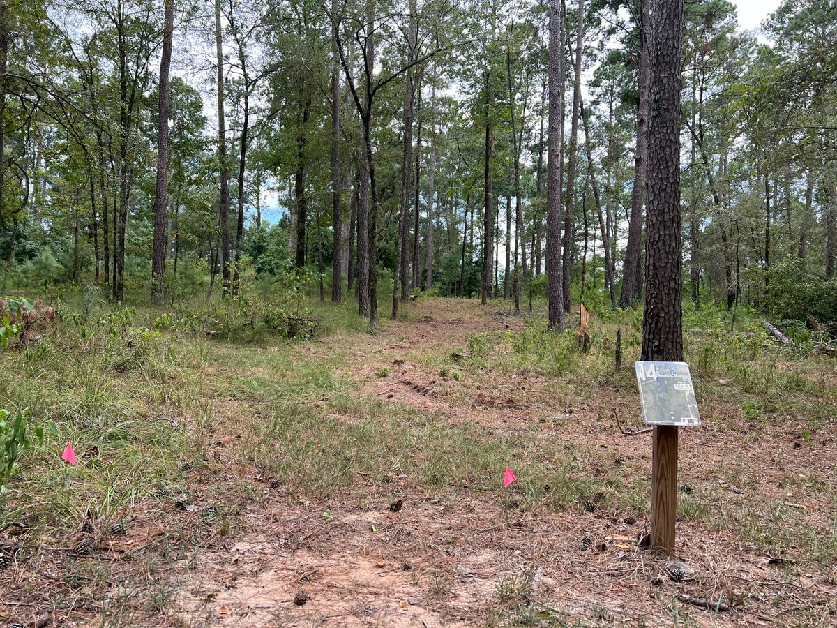 Hole 14 tee