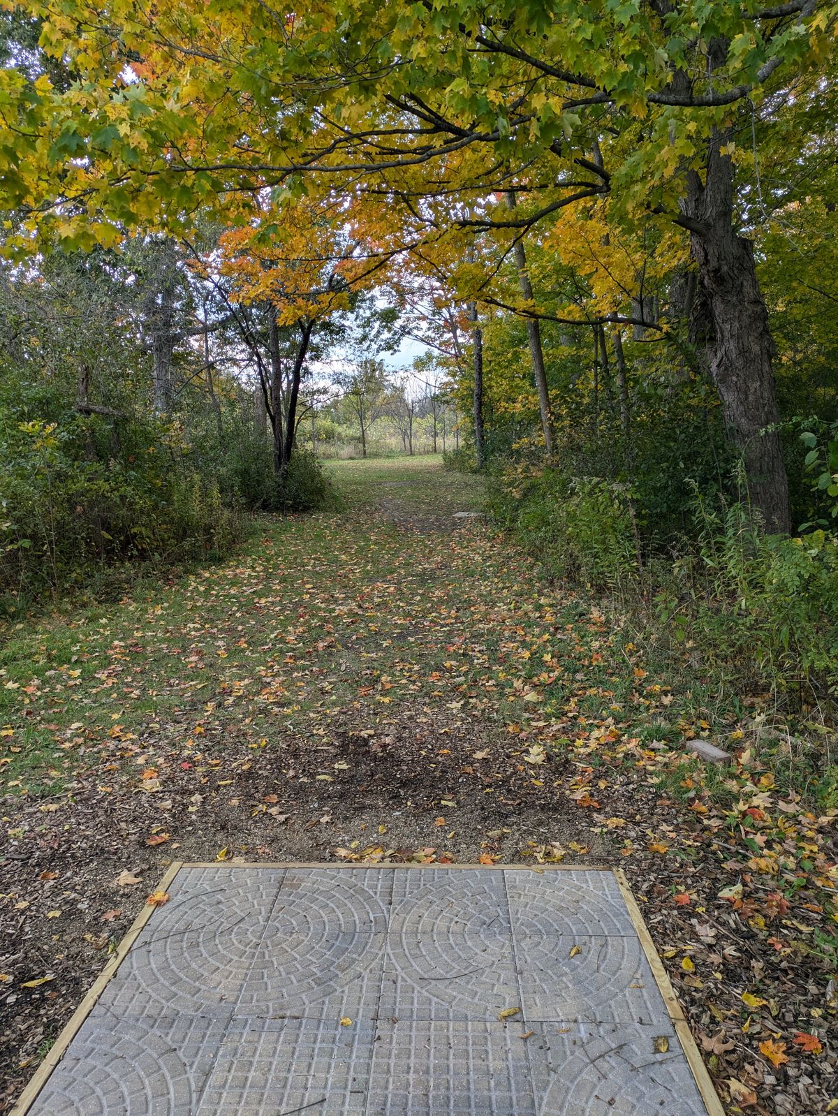 Teepad 16