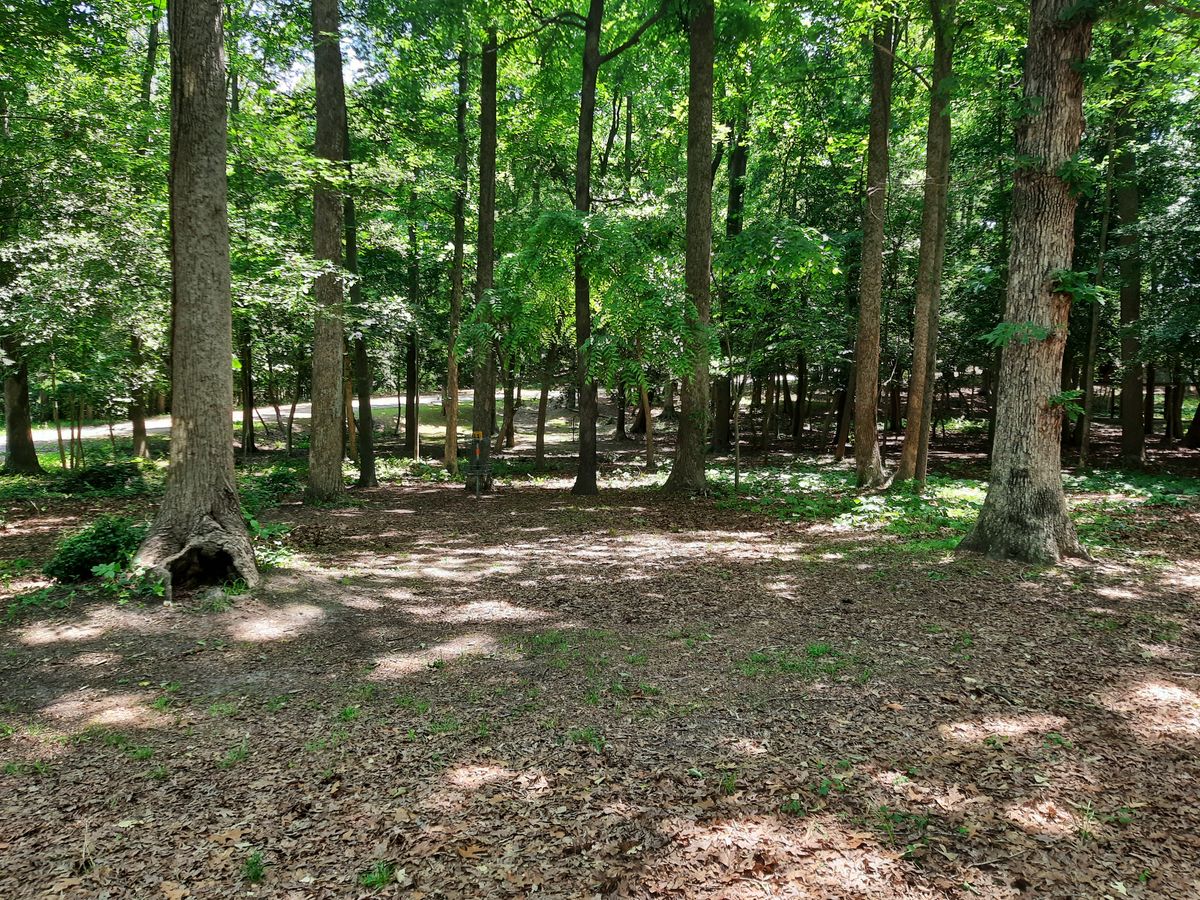 Hole 11 Approach