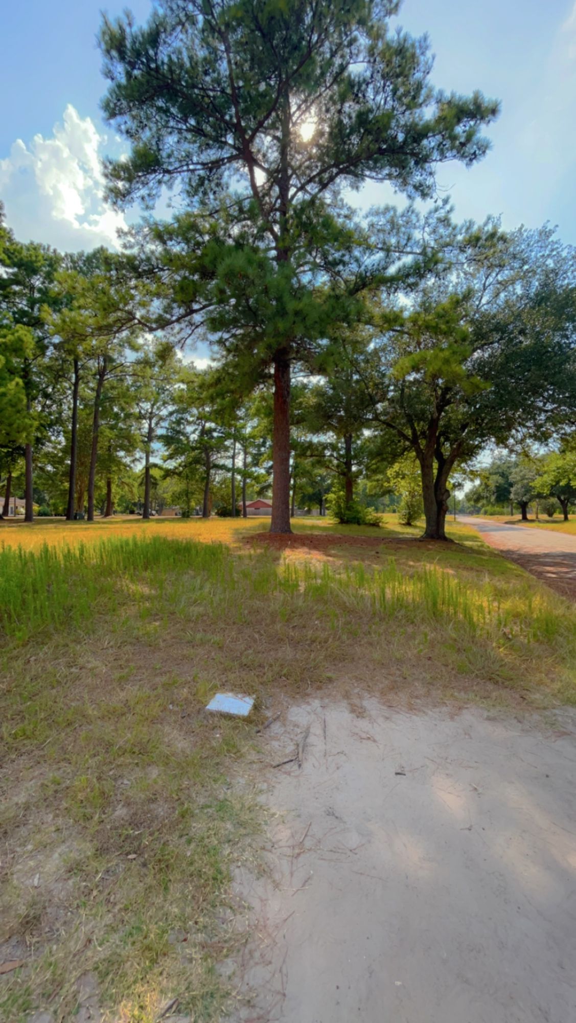 Hole 8 Short Tee 
