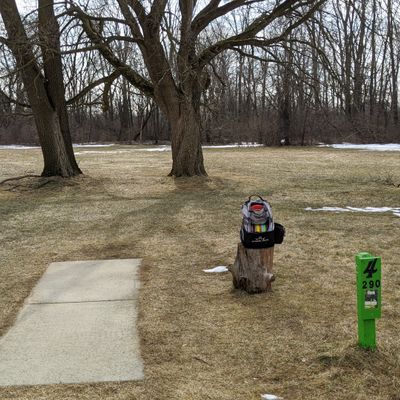 Short Tee #4 
3/3/20
