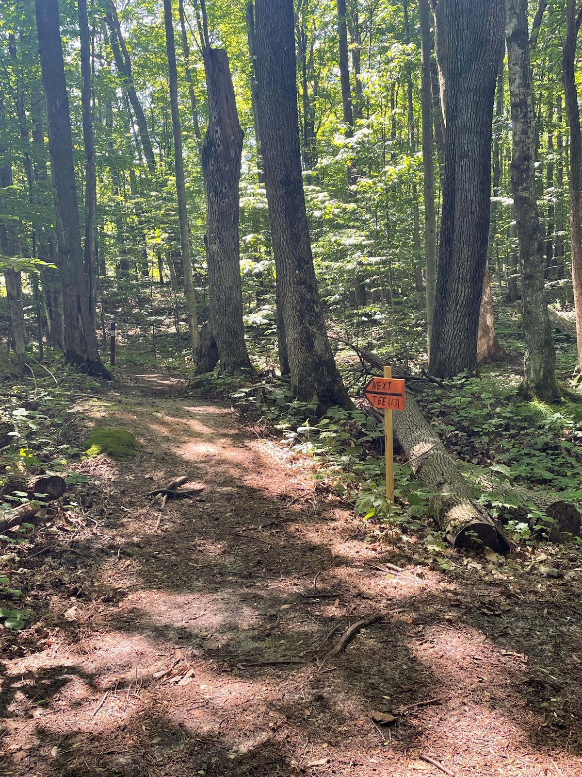 Follow the north country trail to tee of 13