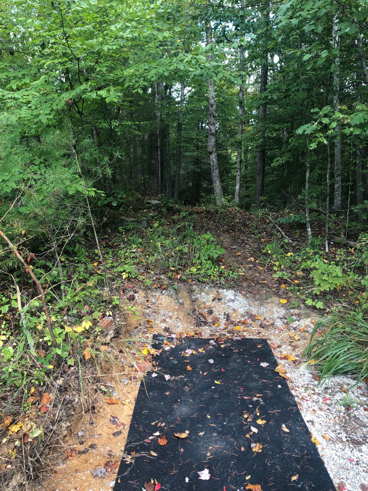 Hole 17’s Tee pad. Plays short an to the left.