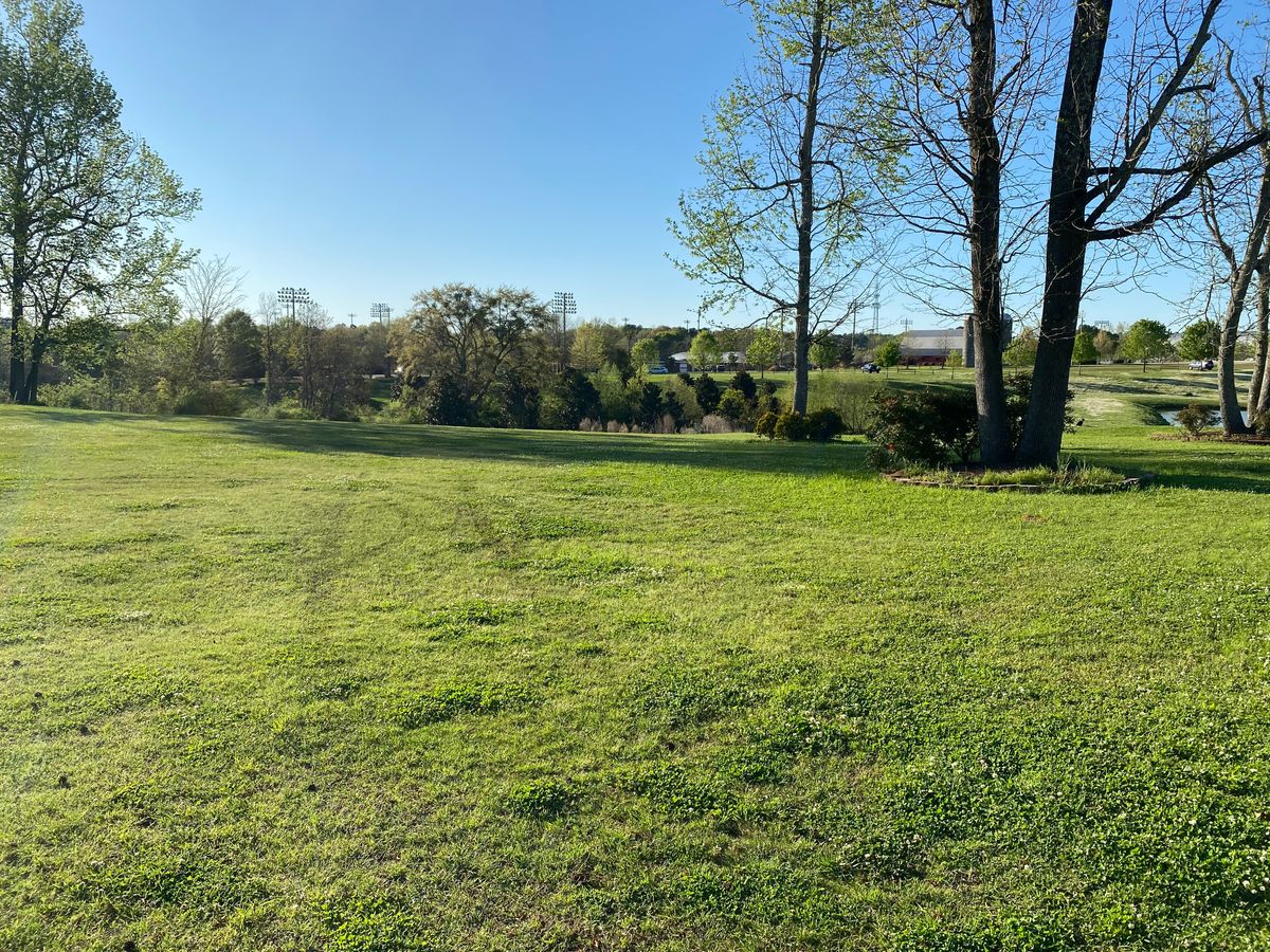 Hole 4 tee
