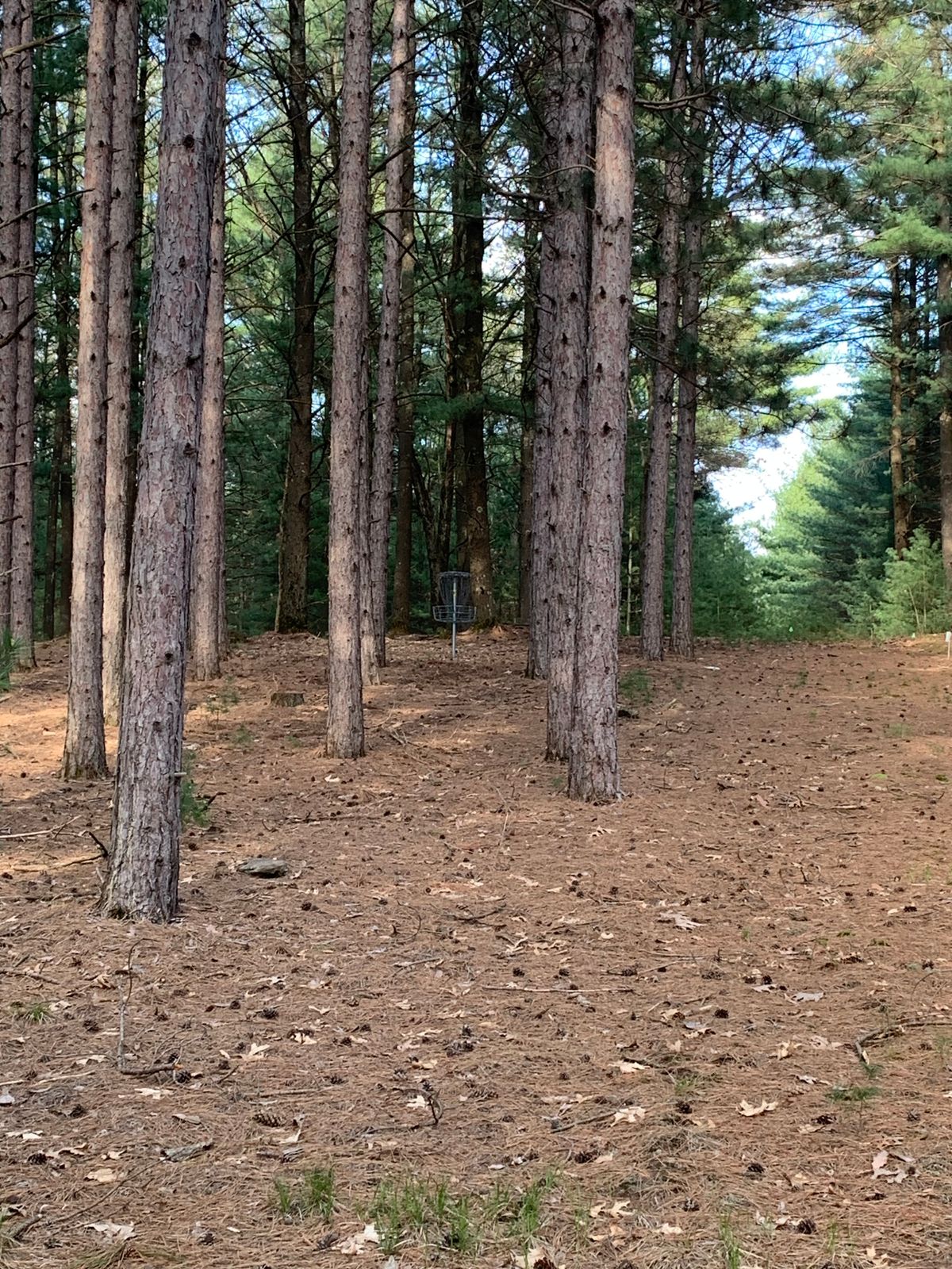 Hole 10 approach