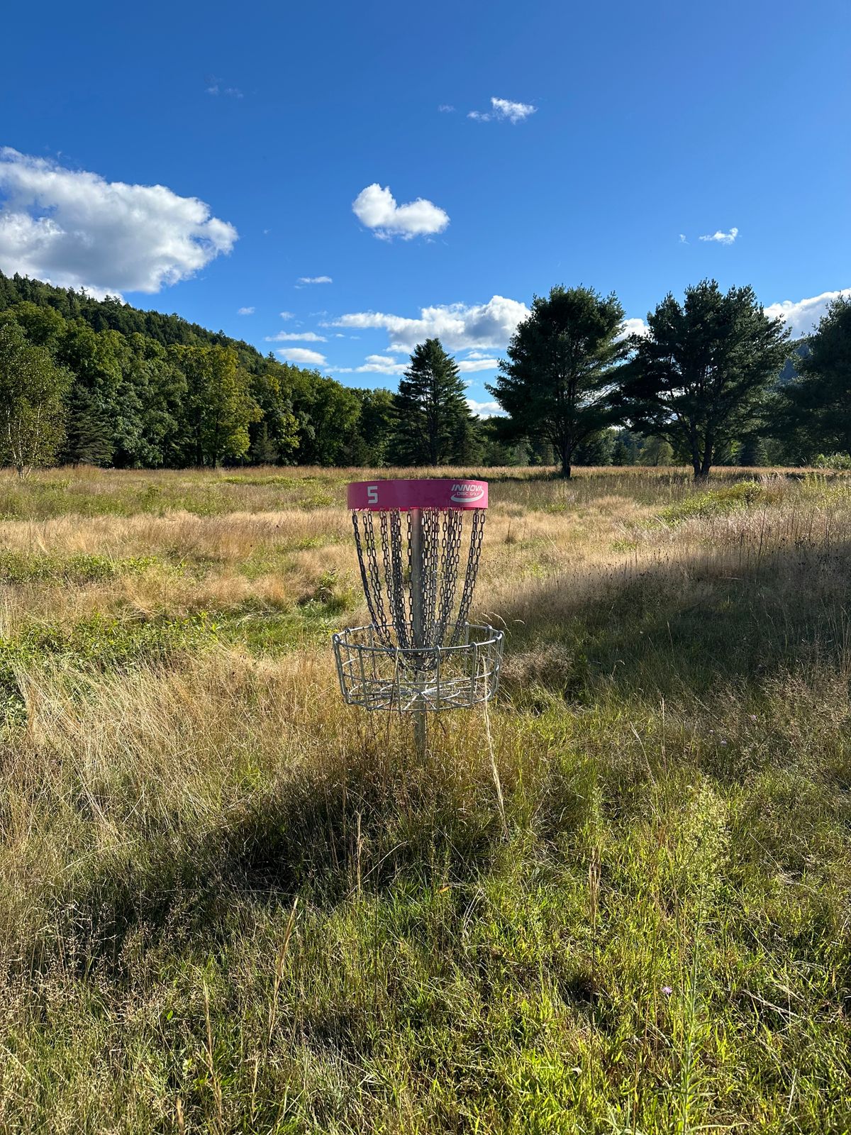 Hole 5 as of 9/2/24