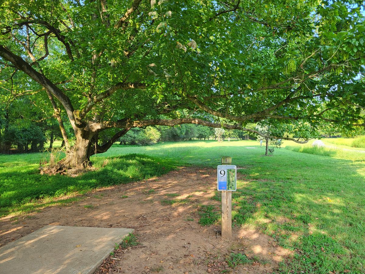 Throw low under this tree branch!