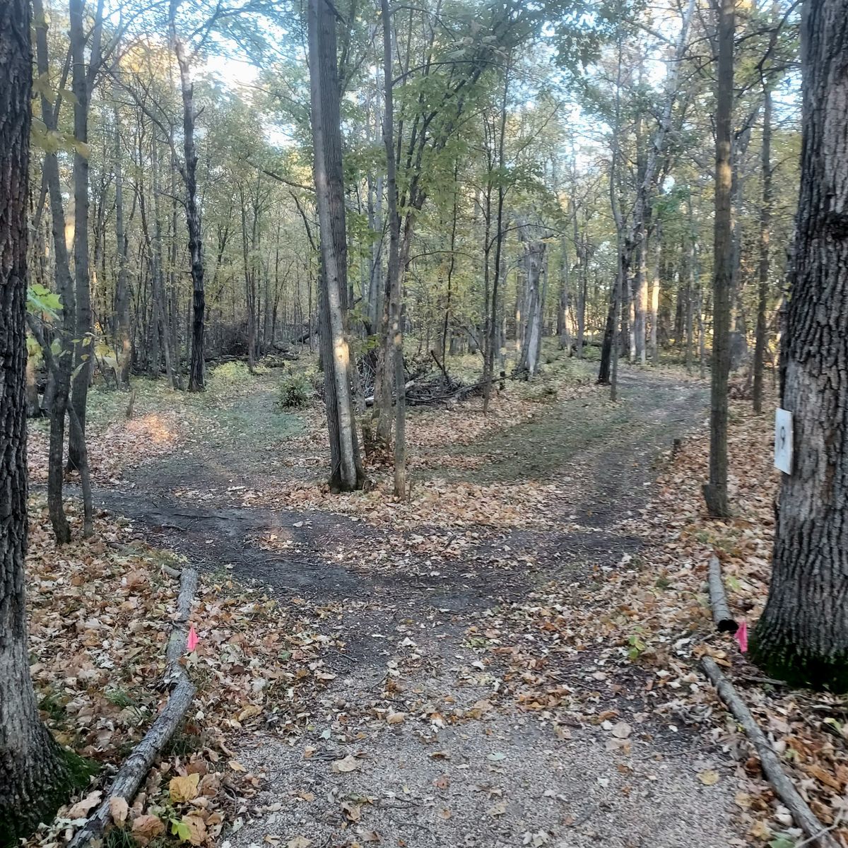 Hole 9