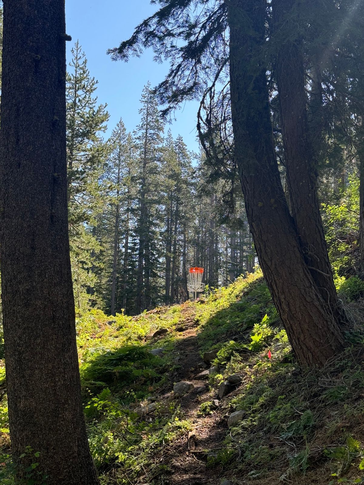 Hole 3 is a traverse across the hill then back up.