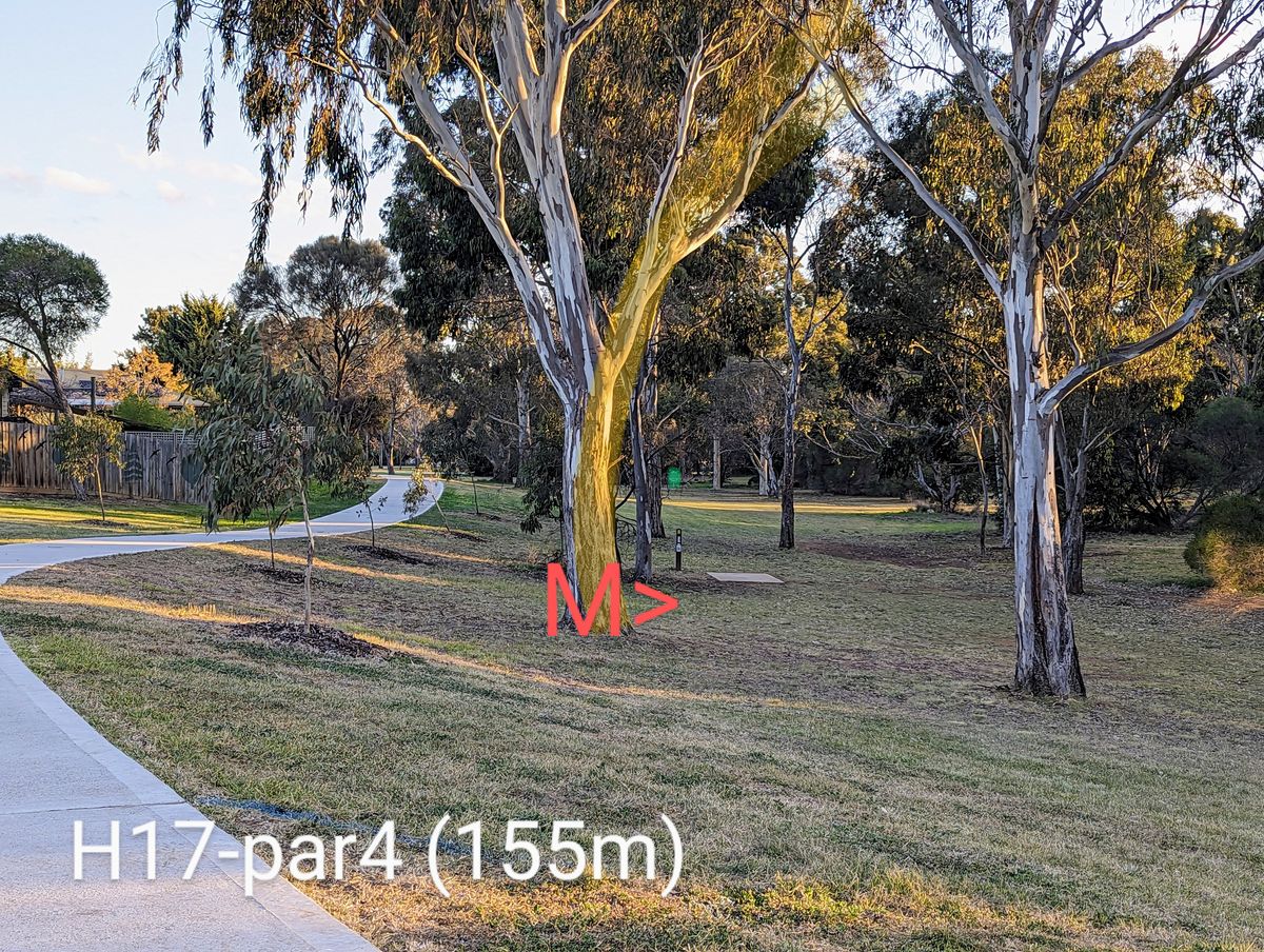 H17-par4 (155m)