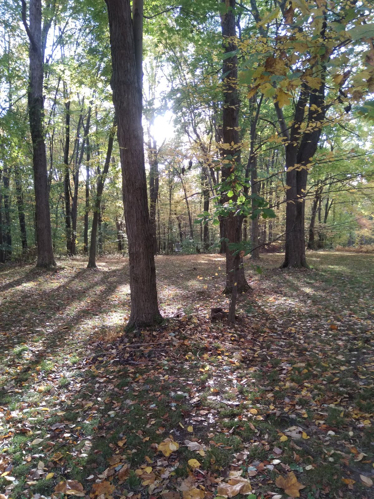 Hole #2 fairway with basket in back