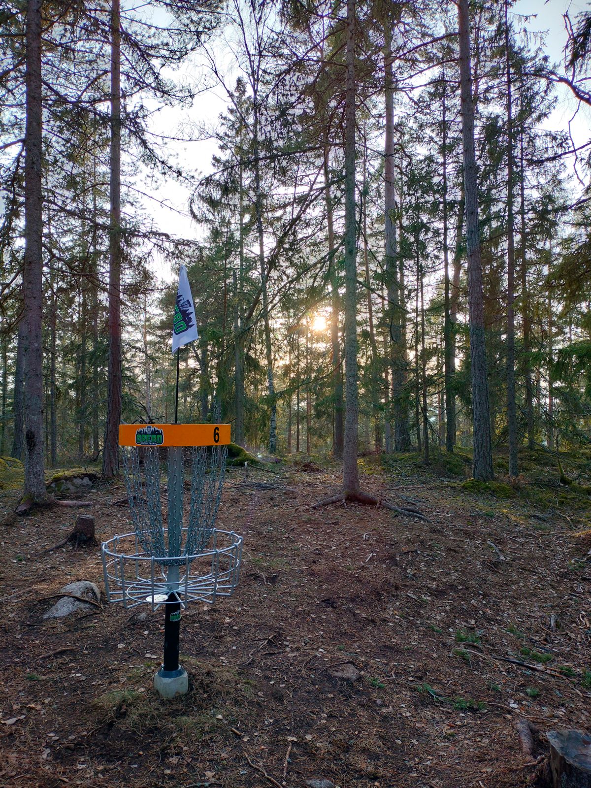 Hål 6s korg | Hole 6's basket
