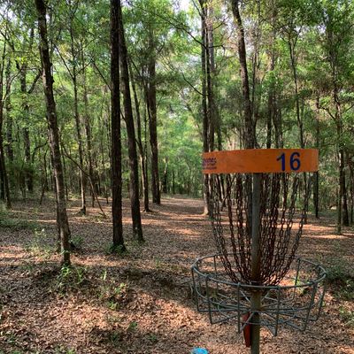 View from basket to the pro tee