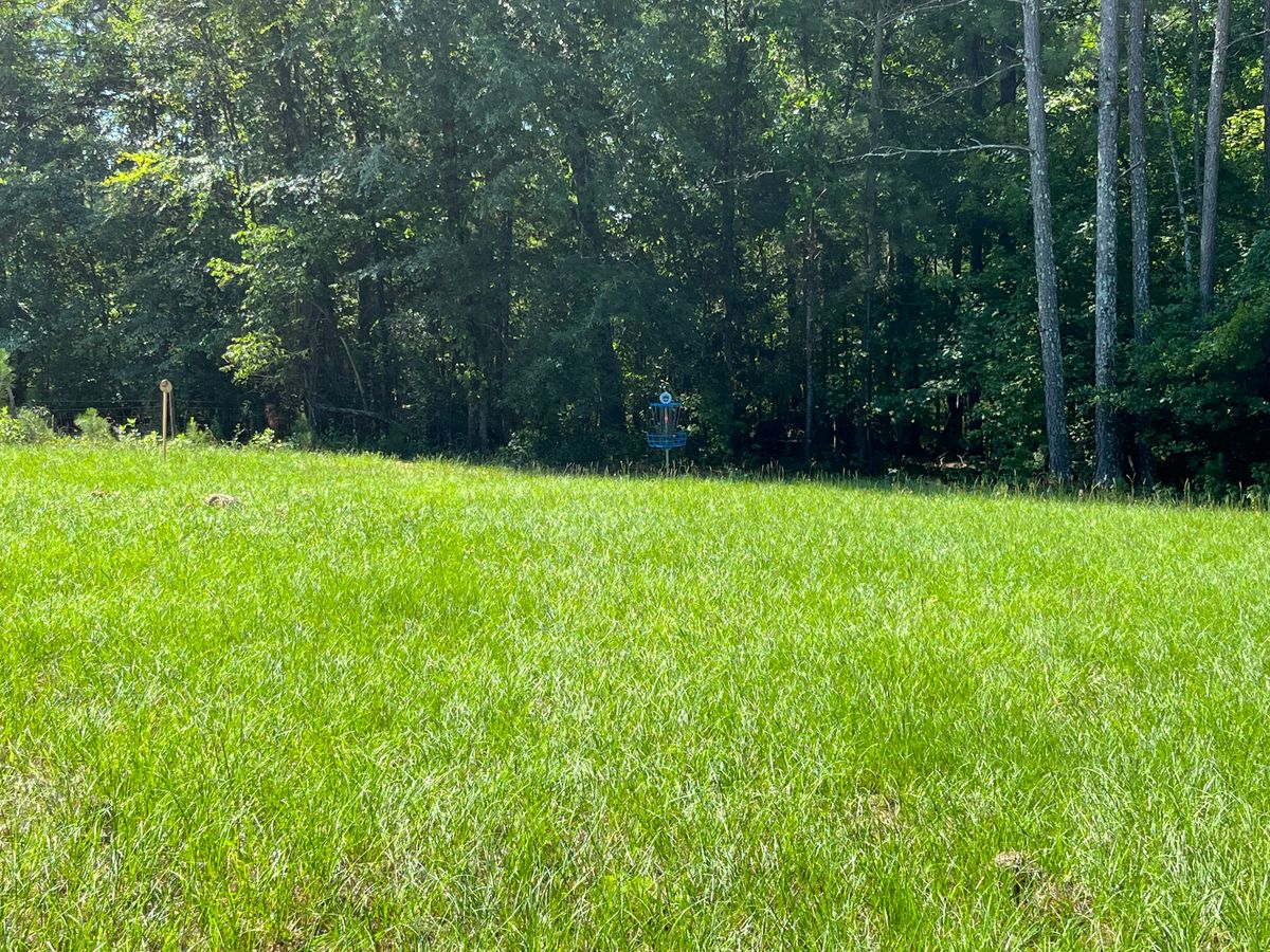 Hole 5 basket