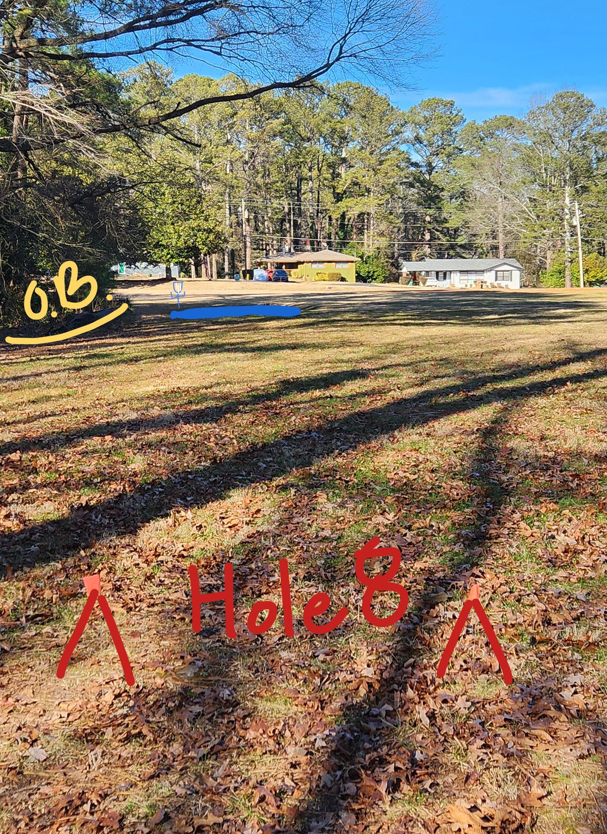Hole 8 has water hazard 6ft before the basket with OB 10ft to left.