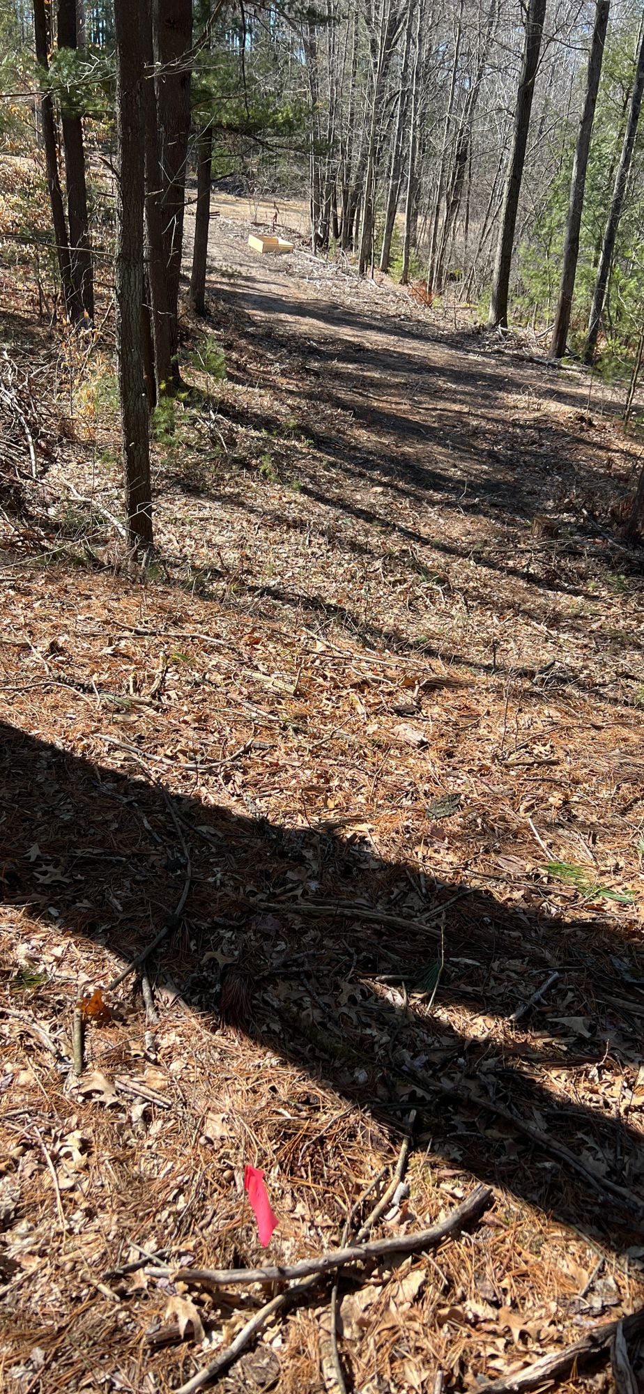 Hole 10 Pin