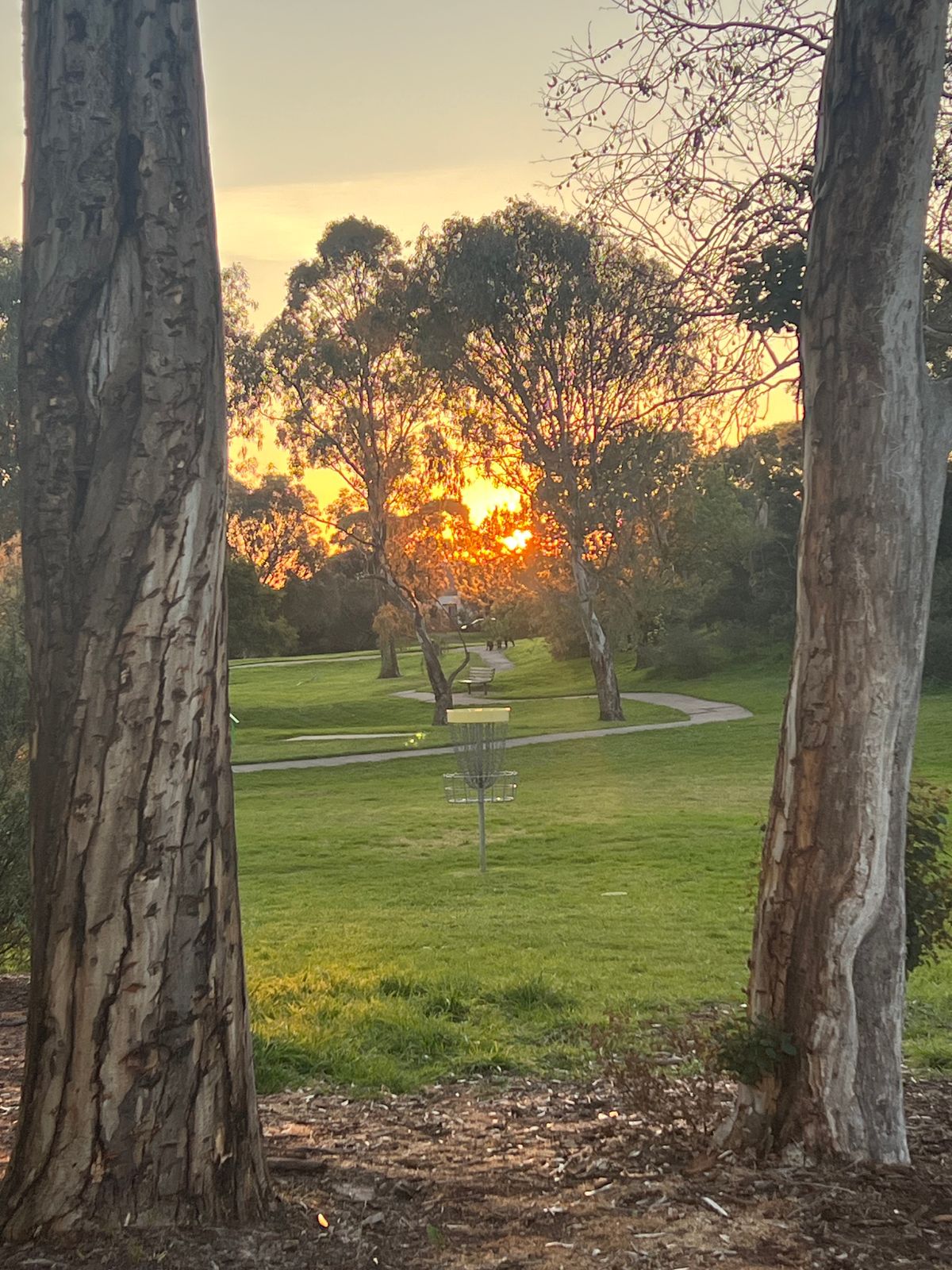 After Work Delight! Hole 2/11