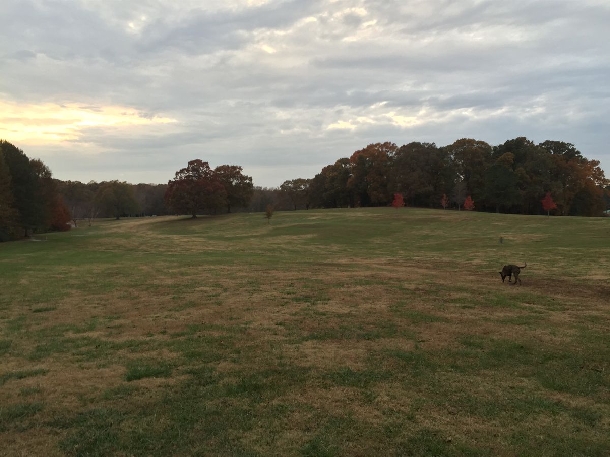 Park