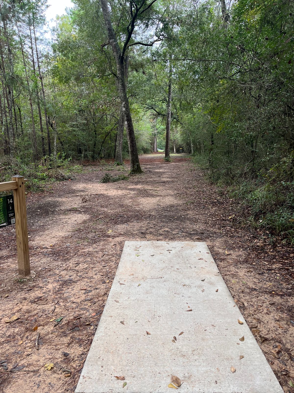 Hole 14 11/11/23