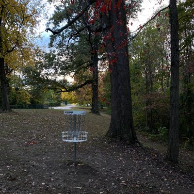 15 basket facing the tee pad