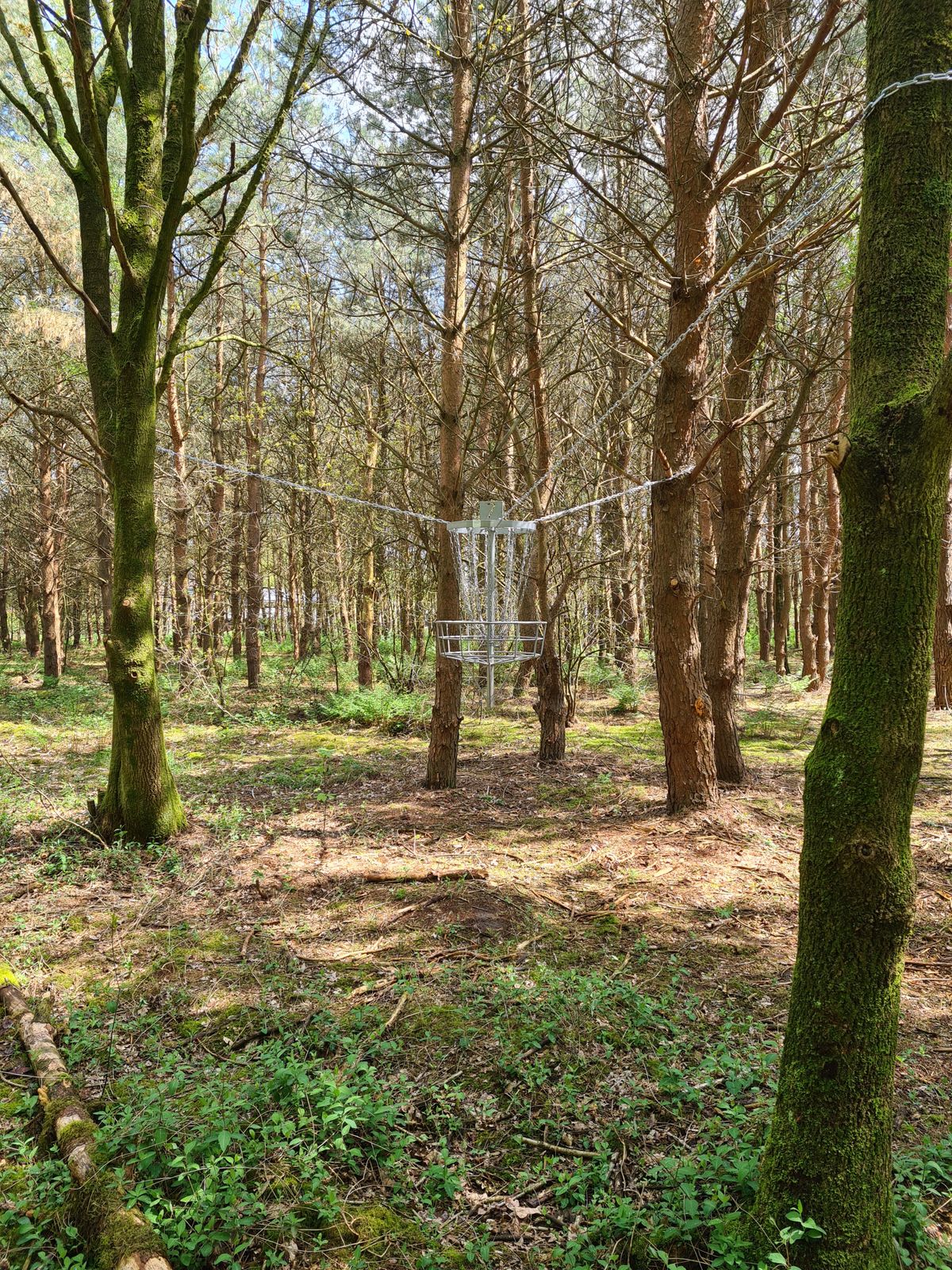 Basket hole 7