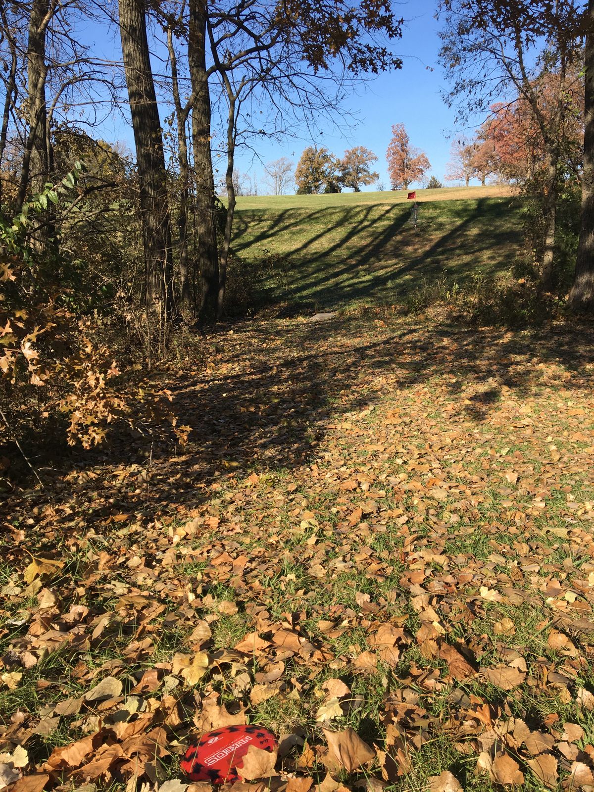 Hole 4 Drive