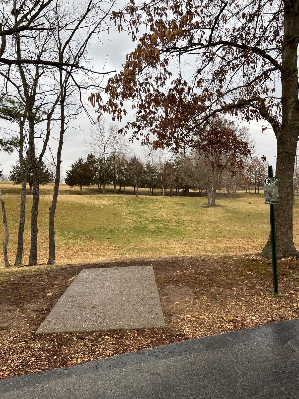 Hole 6