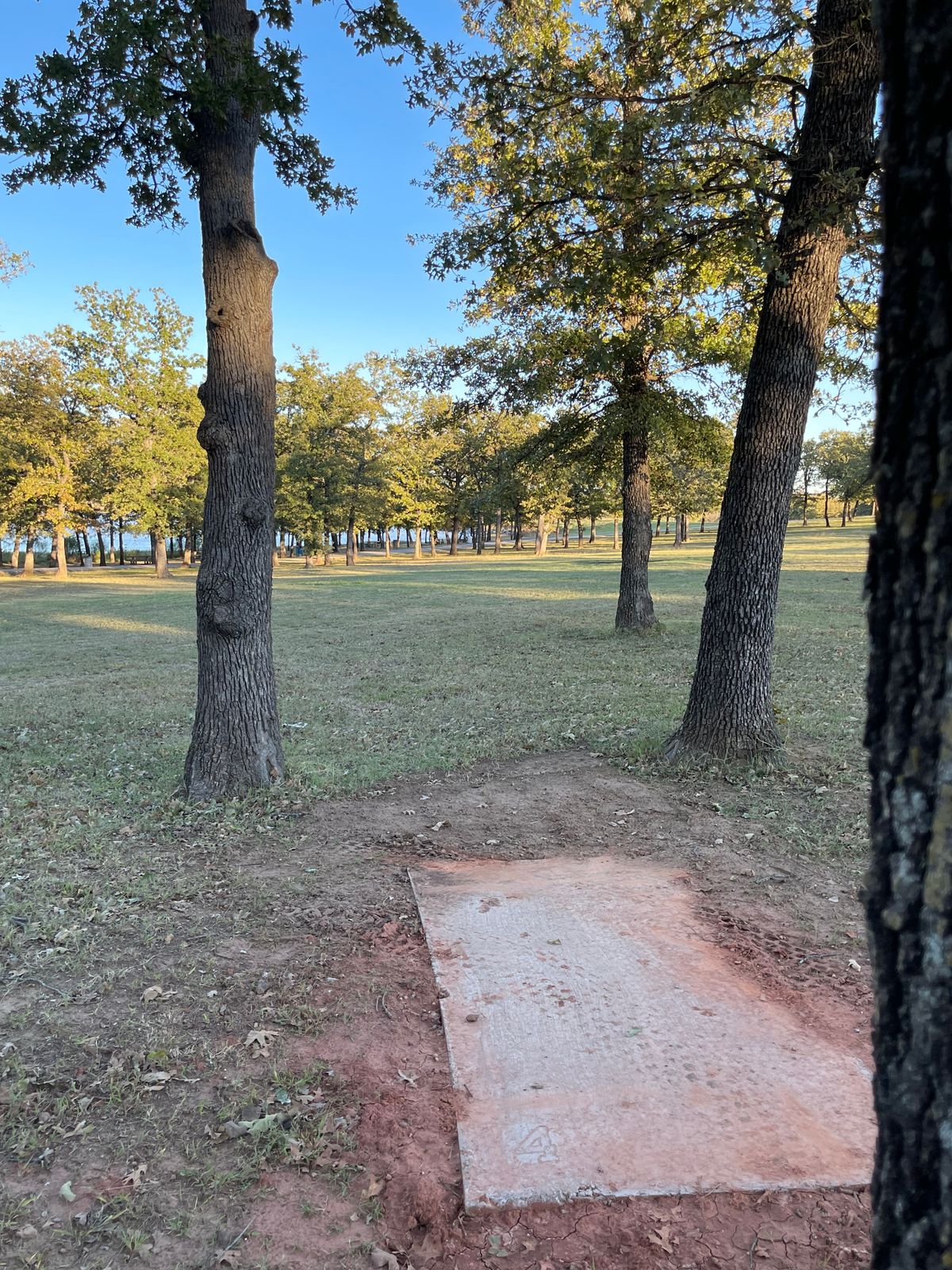 Hole 4: forehand or turnover backhand hole
