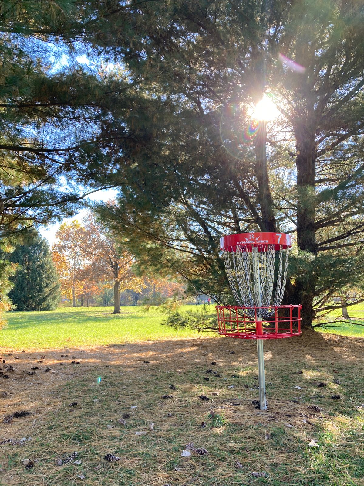 Hole 7 is nestled behind two evergreens.