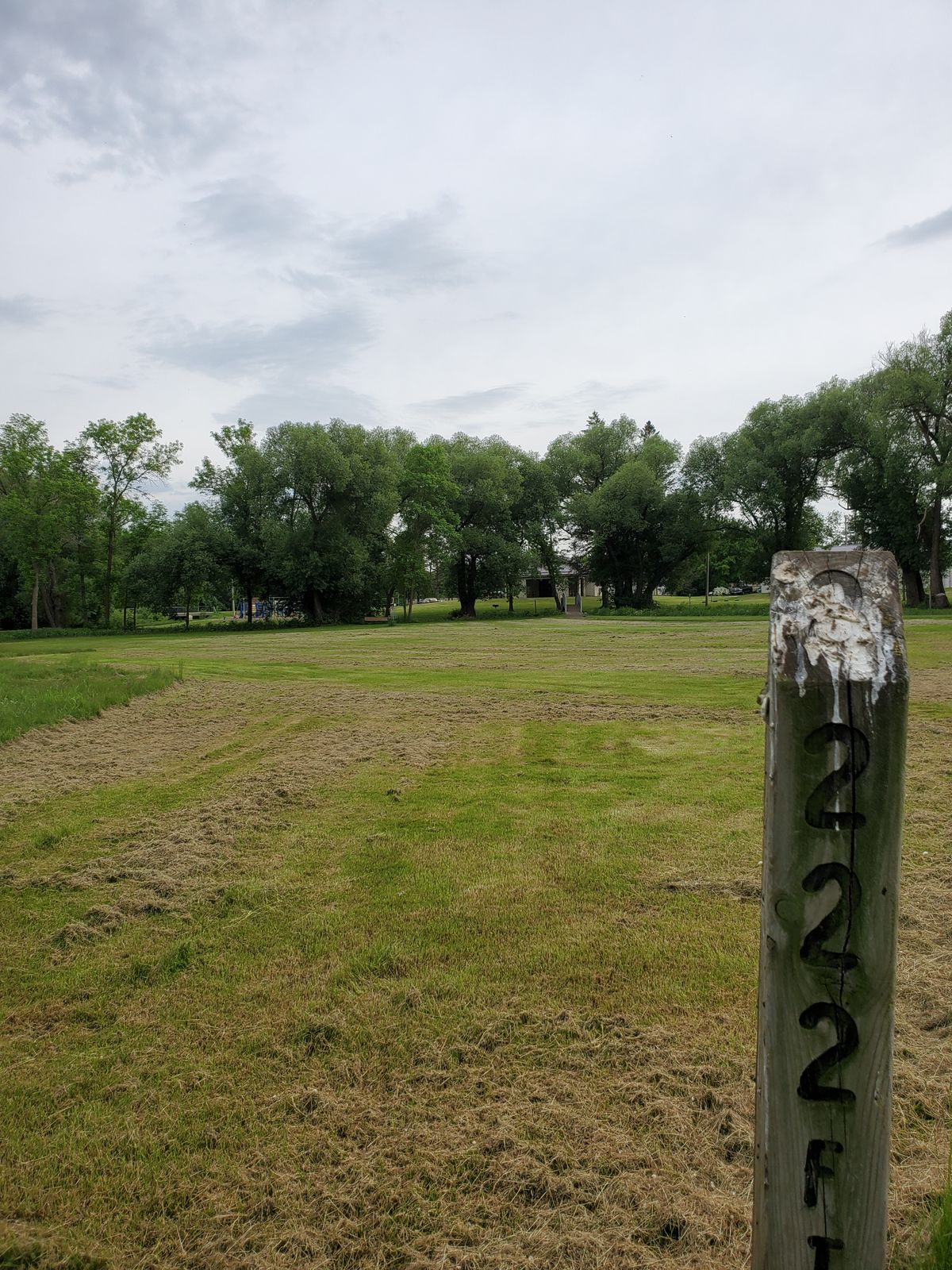 #8 tee