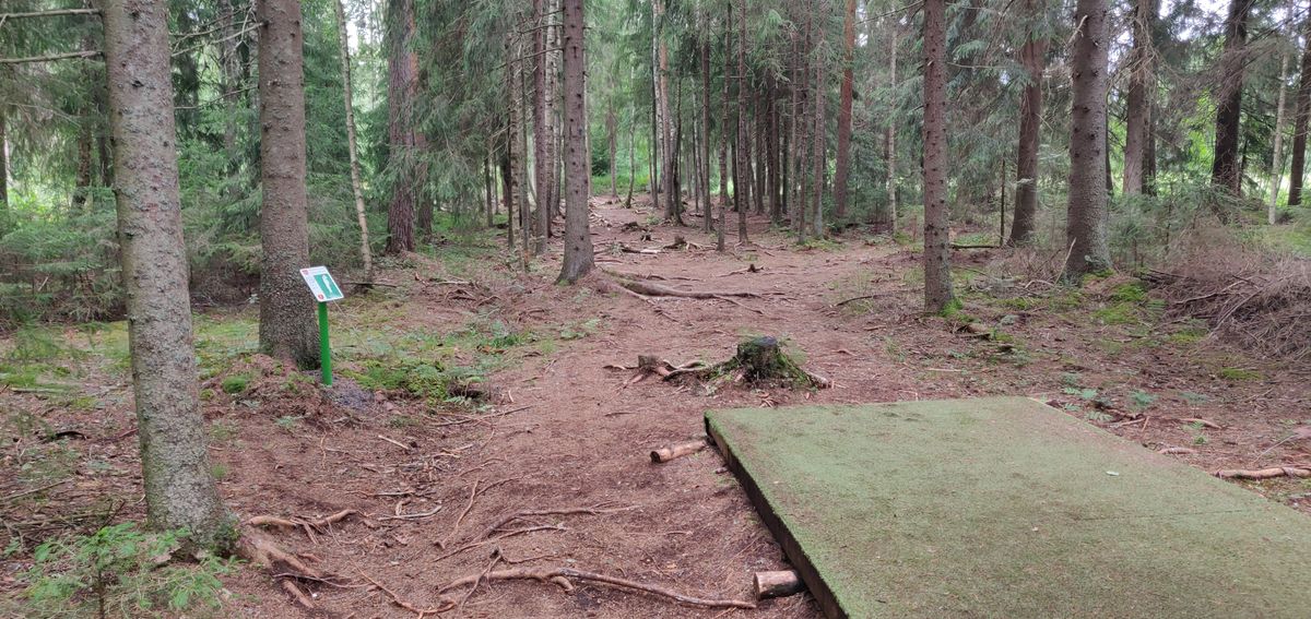 Hole 8