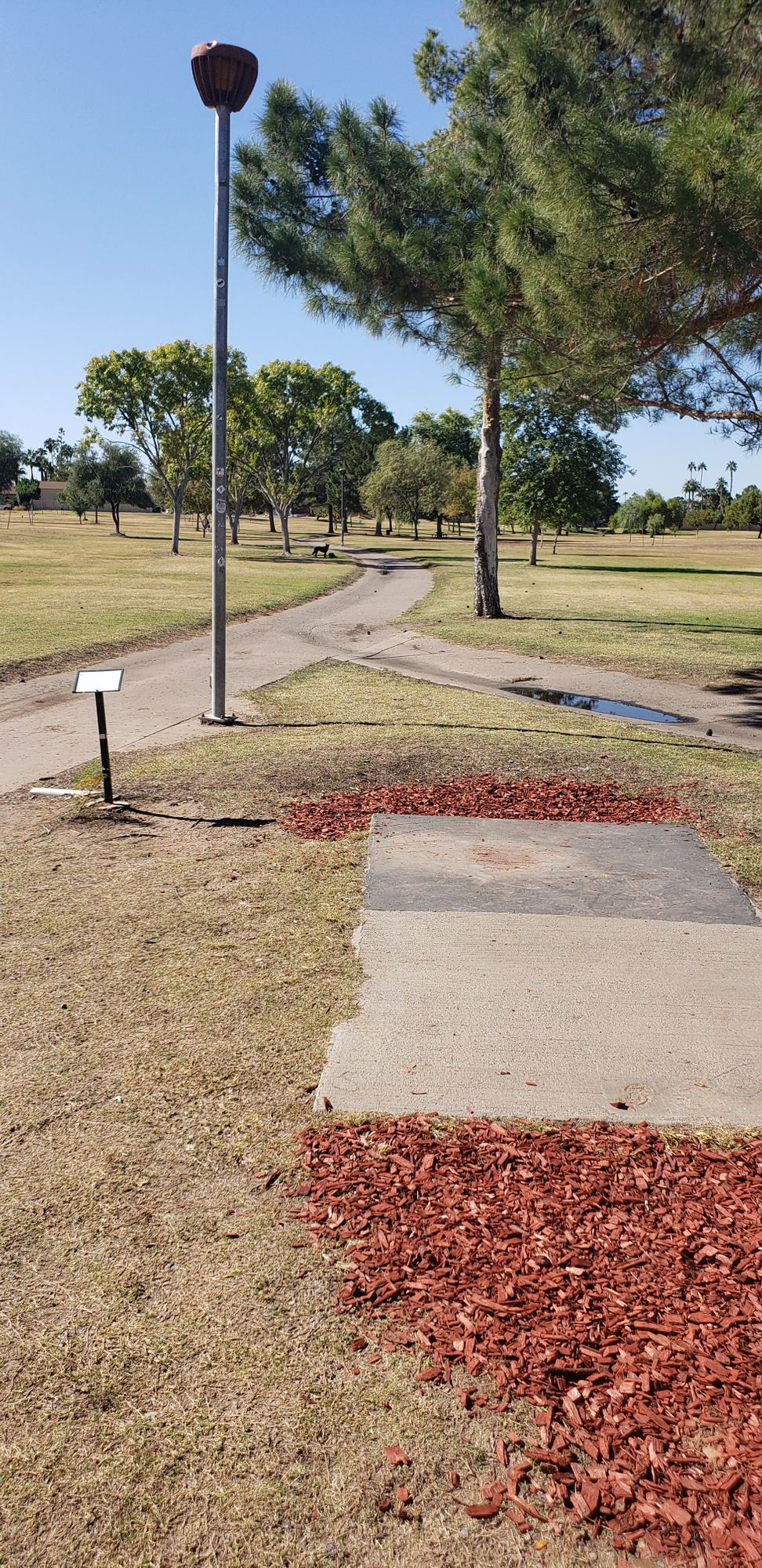 hole 3 tee