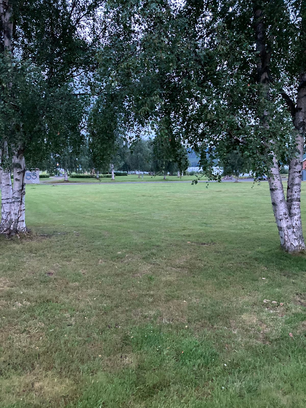 Tee 8
